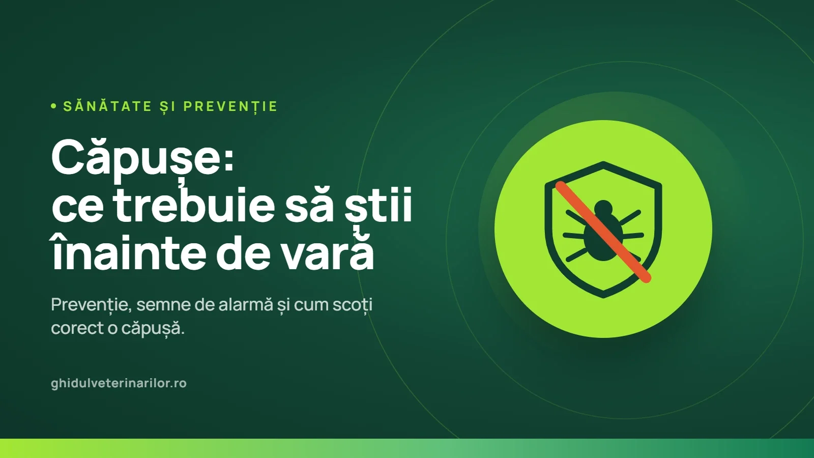 Ce trebuie să știe orice proprietar despre căpușe înainte de sezonul cald